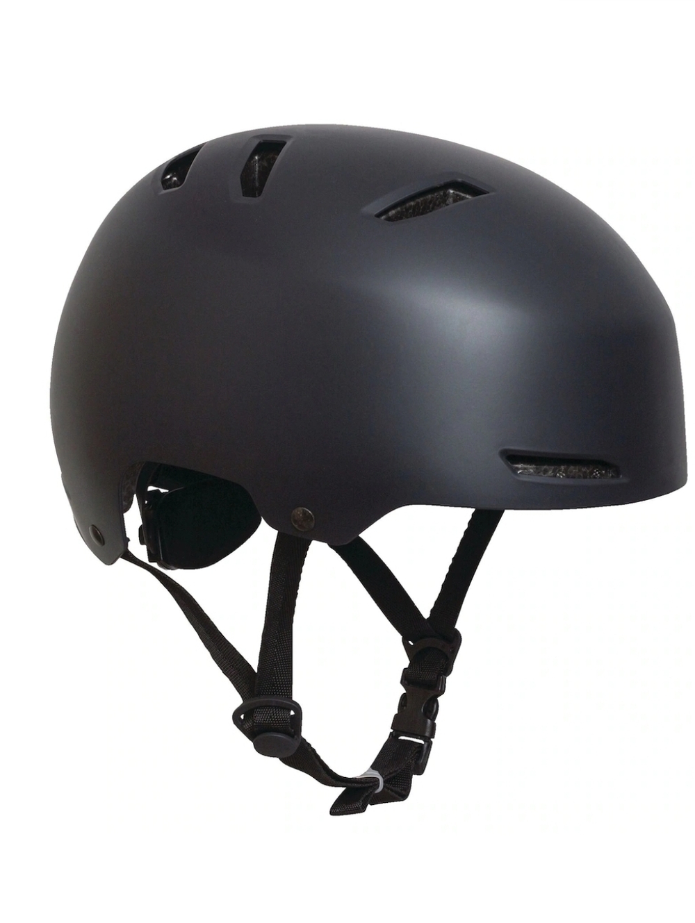 Raleigh Matte Black Multi-Sport Helmet